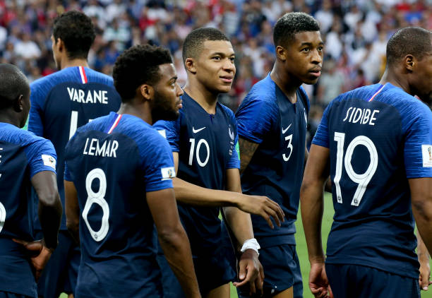 部培养的核 部培养的核